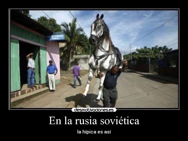 En la rusia soviética - la hípica es así
