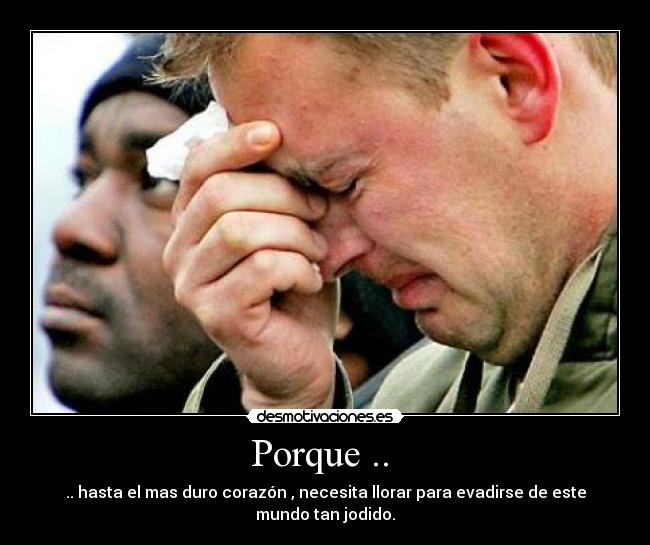 carteles llorar desmotivaciones