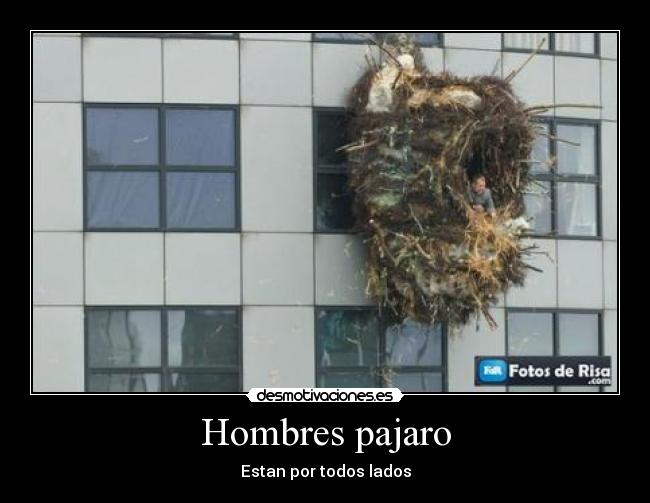 Hombres pajaro - Estan por todos lados