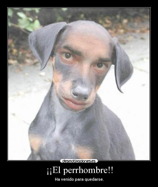 carteles perro fusion hombre desmotivaciones