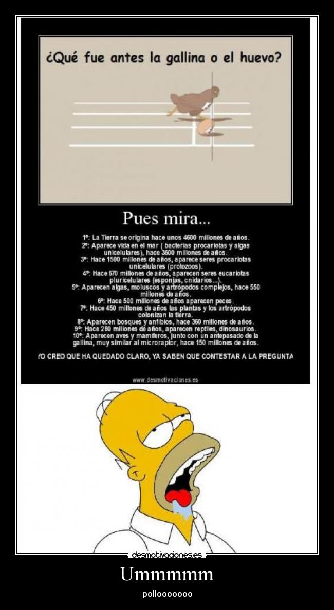 Ummmmm - pollooooooo