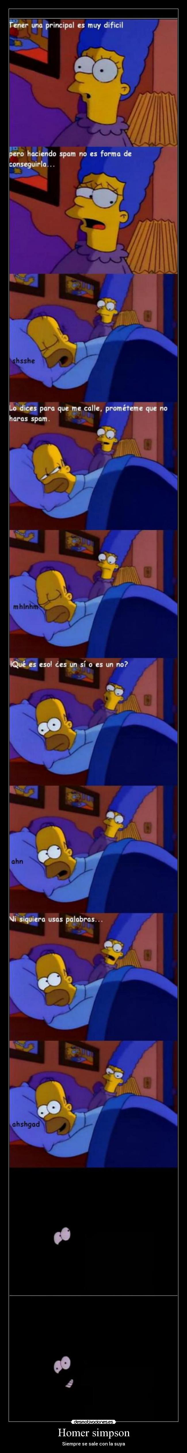 Homer simpson -