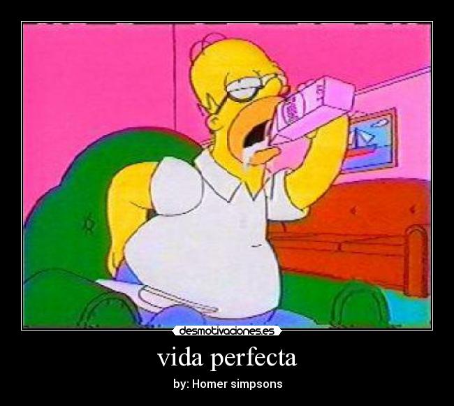 vida perfecta -