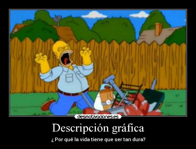 Descripción gráfica - ¿ Por qué la vida tiene que ser tan dura?