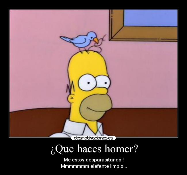 ¿Que haces homer? - Me estoy desparasitando!!
Mmmmmmm elefante limpio...
