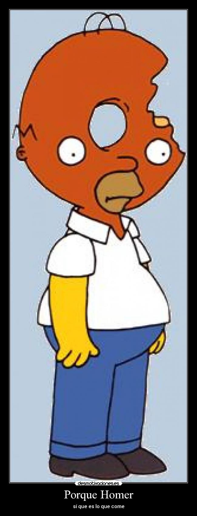 Porque Homer -