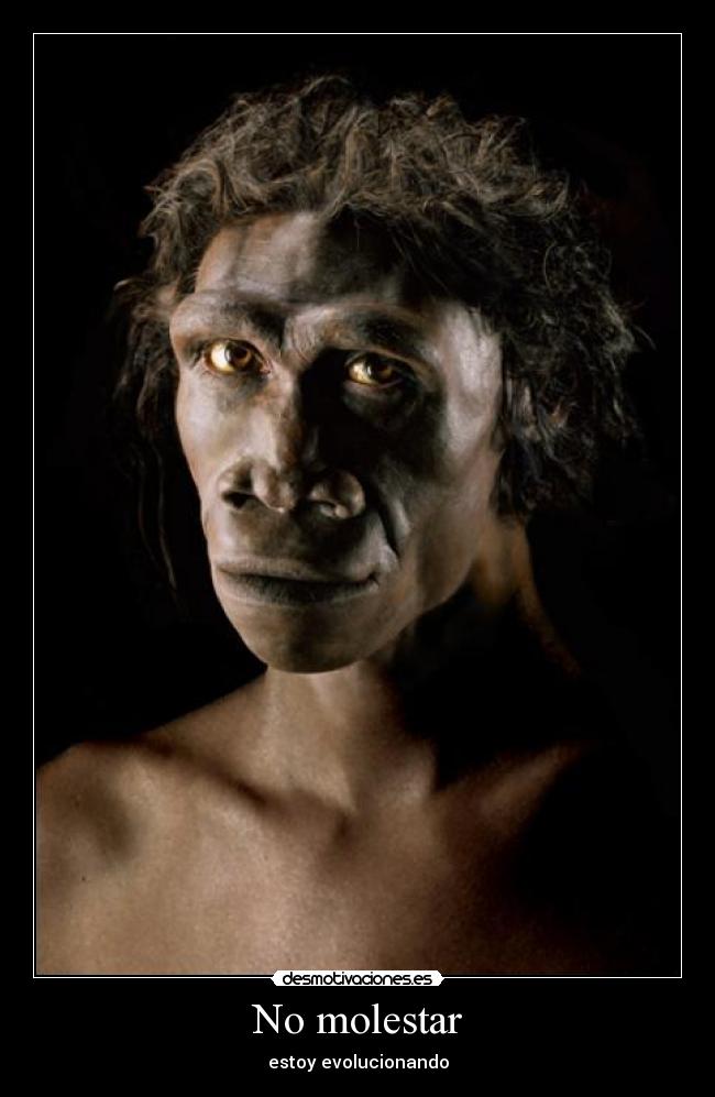 No molestar - 
