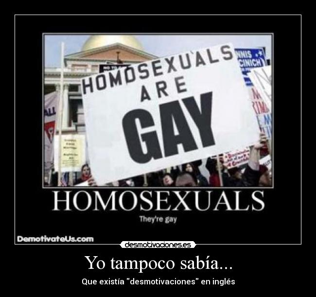 Yo tampoco sabía... - 