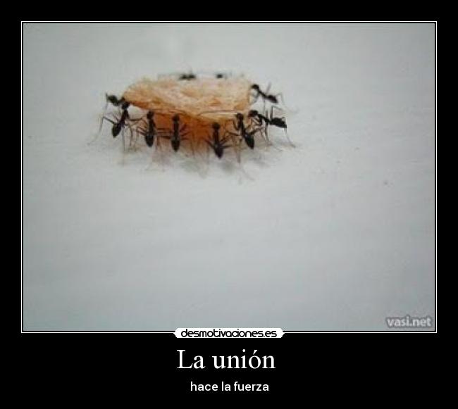 La unión - hace la fuerza
