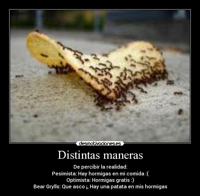 Distintas maneras - De percibir la realidad:
Pesimista: Hay hormigas en mi comida :(
Optimista: Hormigas gratis :)
Bear Grylls: Que asco ¡, Hay una patata en mis hormigas