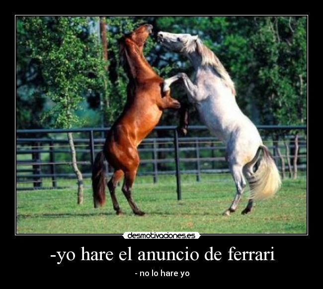 -yo hare el anuncio de ferrari - - no lo hare yo
