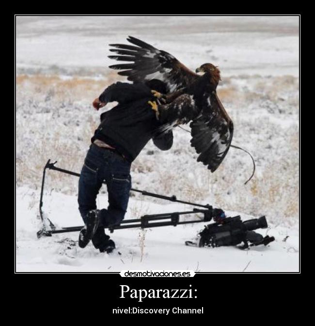 Paparazzi: -