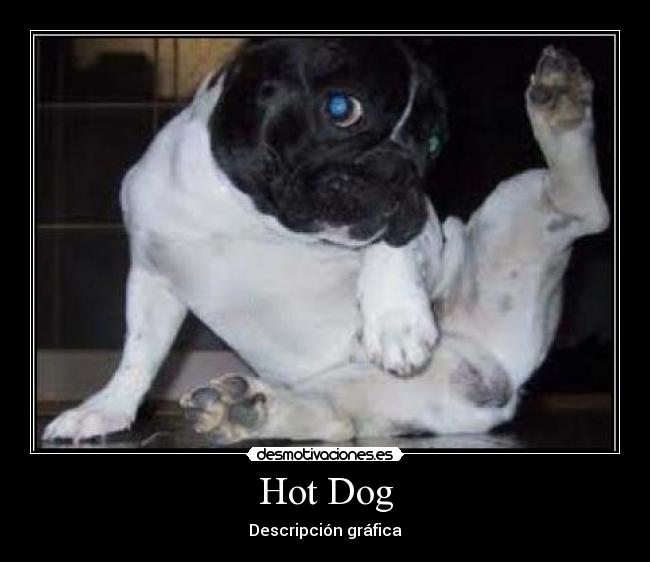 Hot Dog - 