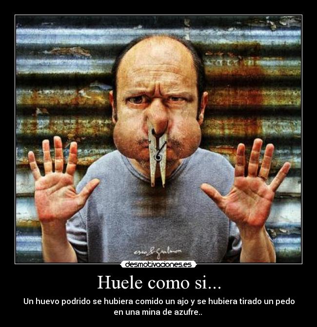 Huele como si... - Un huevo podrido se hubiera comido un ajo y se hubiera tirado un pedo
en una mina de azufre..
