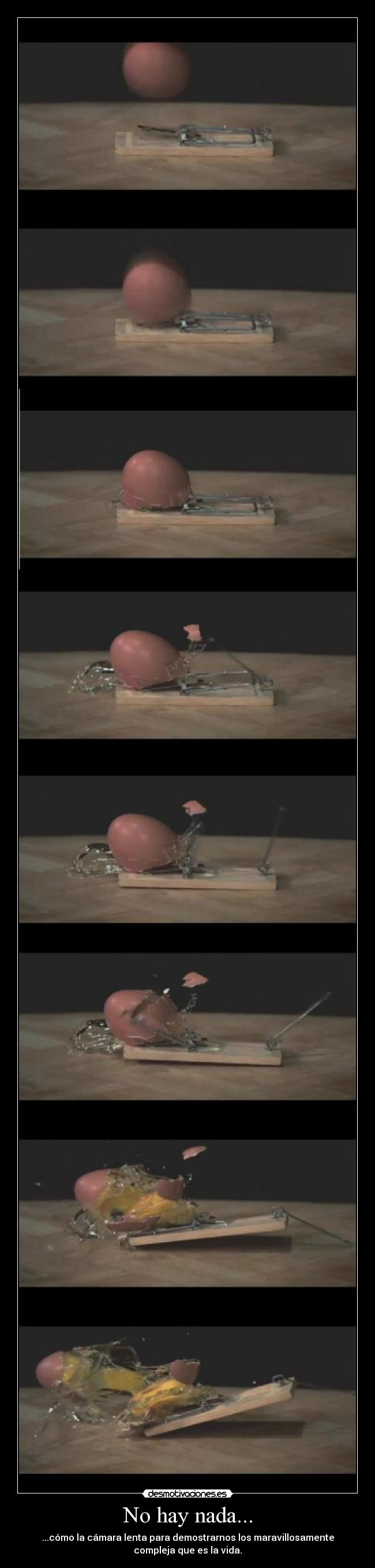 No hay nada... - ...cómo la cámara lenta para demostrarnos los maravillosamente
compleja que es la vida.