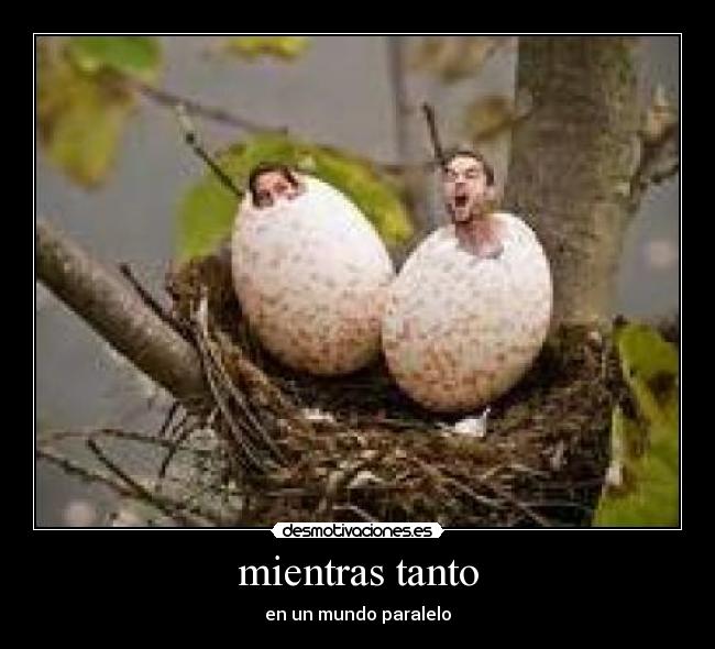 mientras tanto - en un mundo paralelo