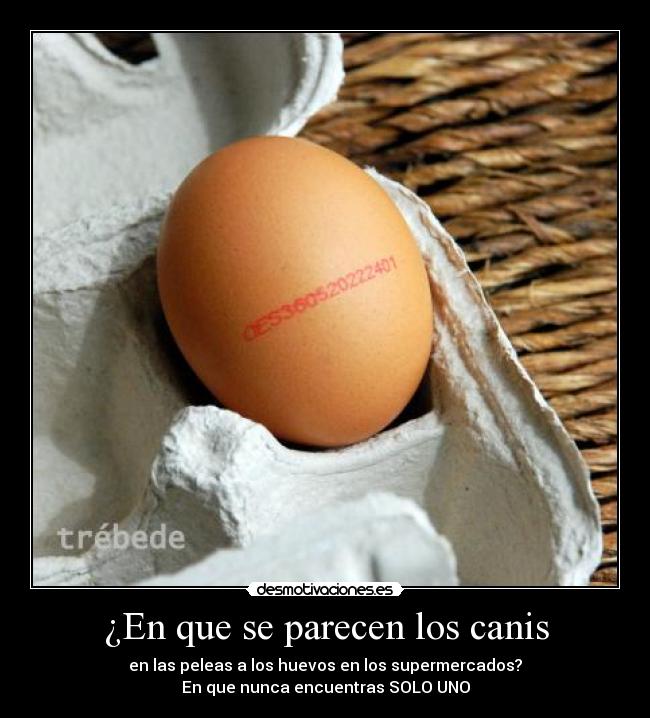 ¿En que se parecen los canis - en las peleas a los huevos en los supermercados?
En que nunca encuentras SOLO UNO