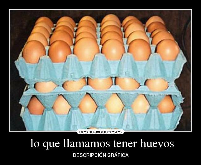  lo que llamamos tener huevos - DESCRIPCIÓN GRÁFICA