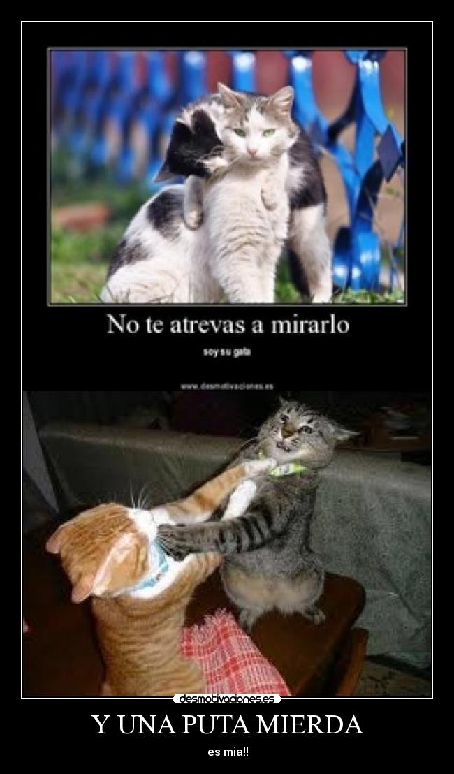 Y UNA PUTA MIERDA - es mia!!