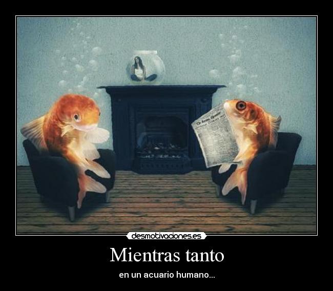 Mientras tanto - en un acuario humano...