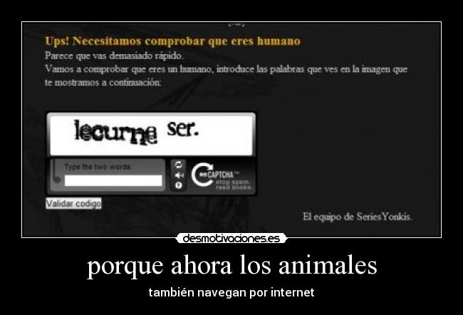 porque ahora los animales - 