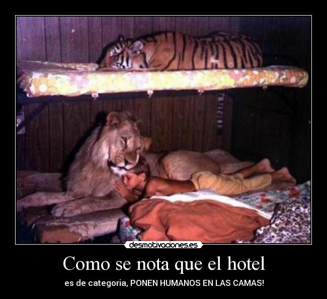 Como se nota que el hotel -