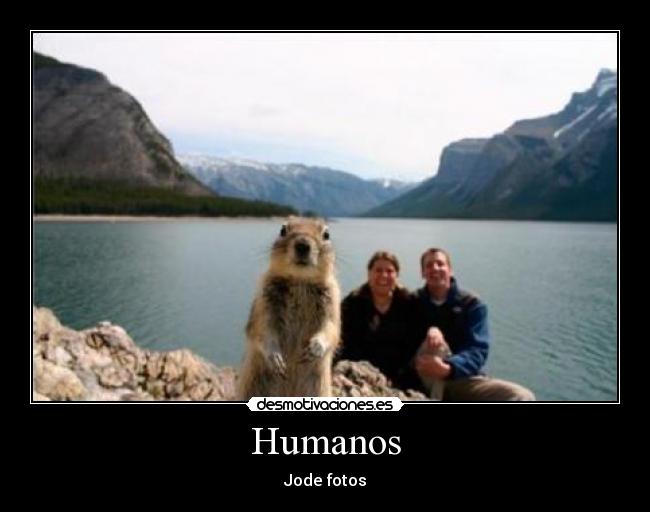 Humanos - 