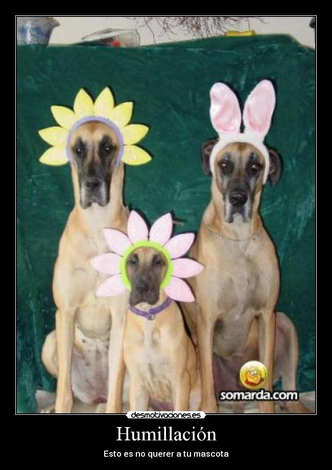 carteles esoo desmotivaciones