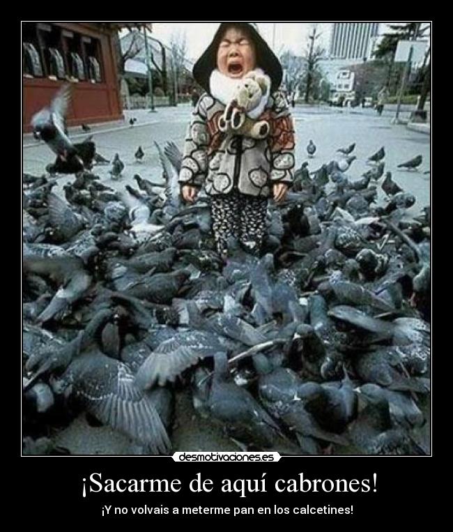 ¡Sacarme de aquí cabrones! -