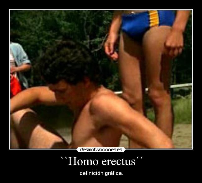 ``Homo erectus´´ - definición gráfica.