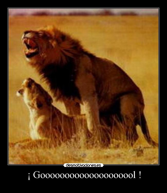 ¡ Goooooooooooooooooool ! - 