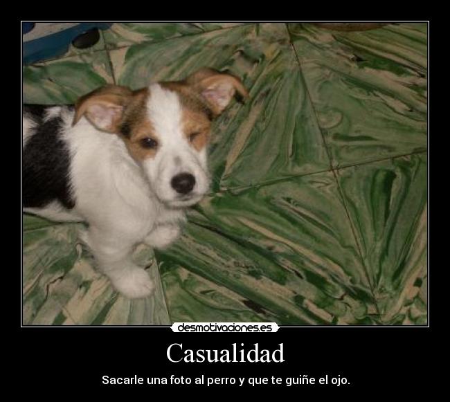 Casualidad - 