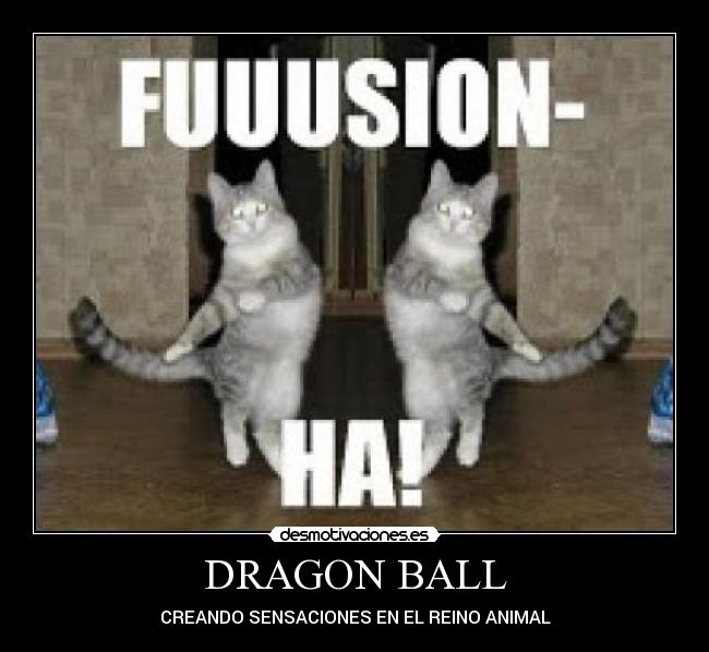 DRAGON BALL - CREANDO SENSACIONES EN EL REINO ANIMAL