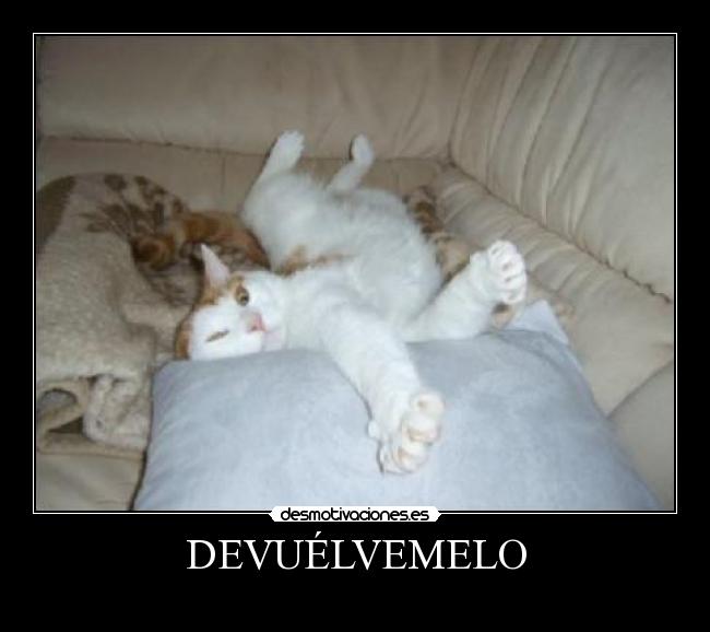 DEVUÉLVEMELO - 