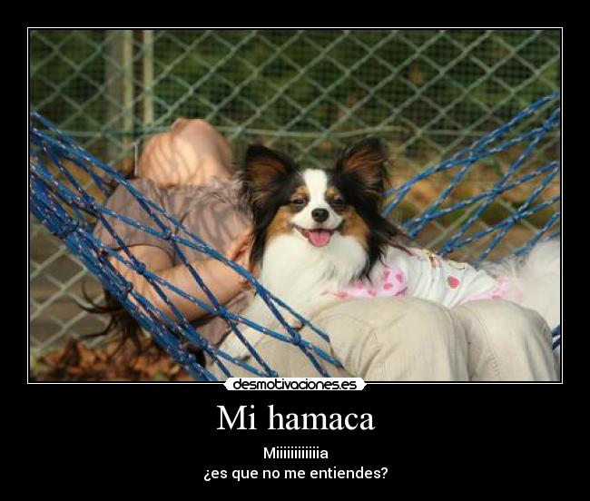 Mi hamaca - 