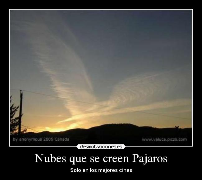 Nubes que se creen Pajaros - 