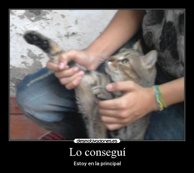 Lo conseguí - Estoy en la principal