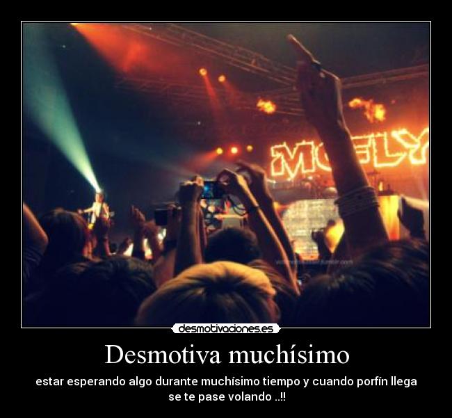 carteles mcfly concert desmotivaciones