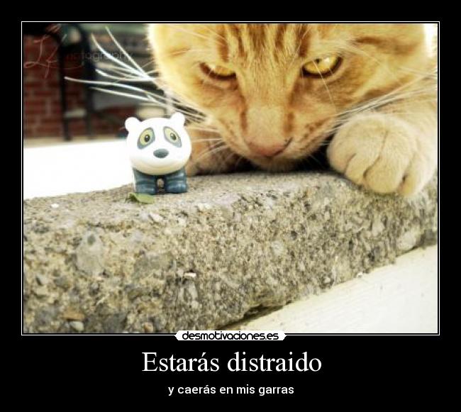 Estarás distraido - 