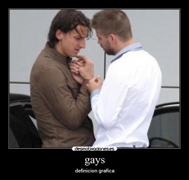 gays - 