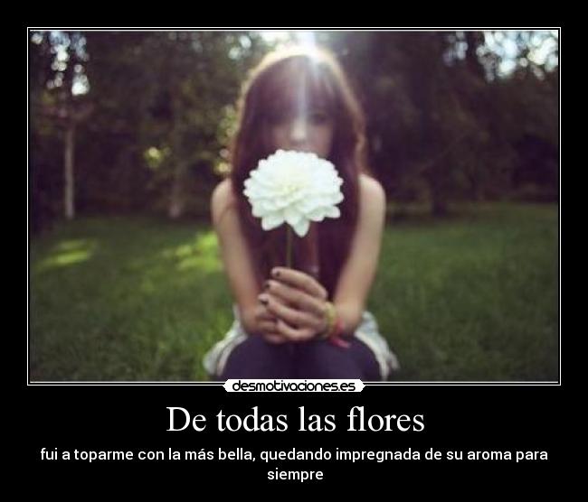 De todas las flores - 