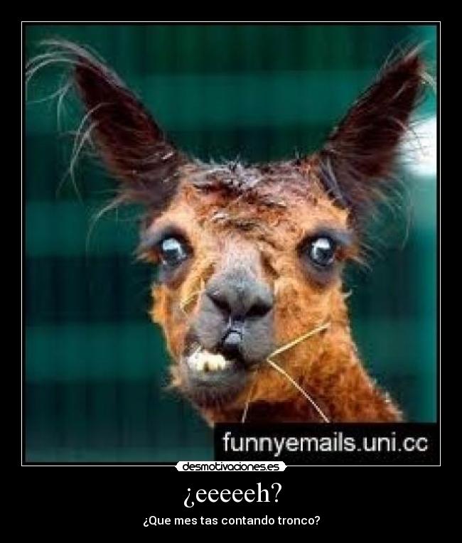 carteles llama desmotivaciones