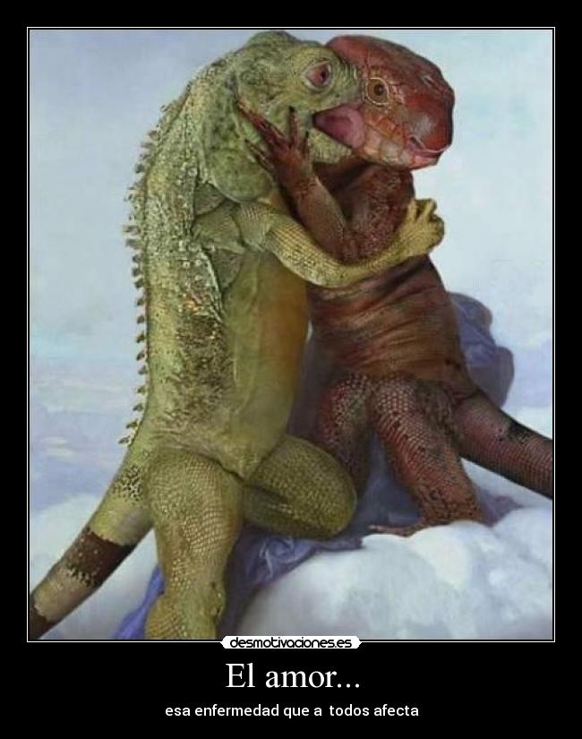 El amor... - esa enfermedad que a todos afecta