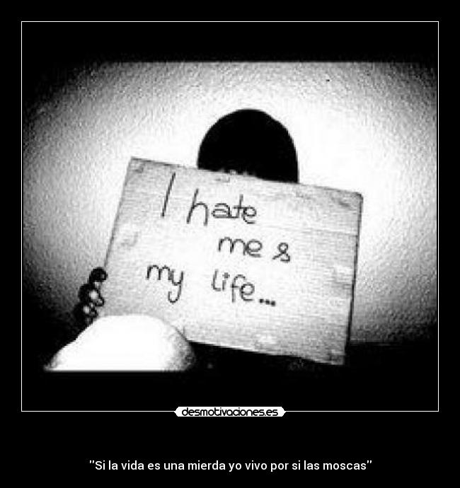      - Si la vida es una mierda yo vivo por si las moscas