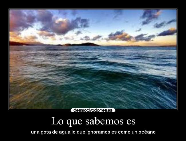 Lo que sabemos es - 
