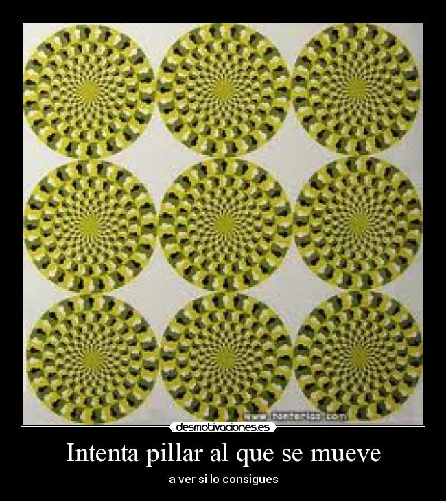 Intenta pillar al que se mueve - a ver si lo consigues