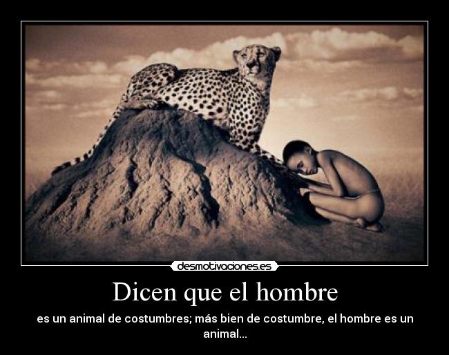 Dicen que el hombre - es un animal de costumbres; más bien de costumbre, el hombre es un animal...