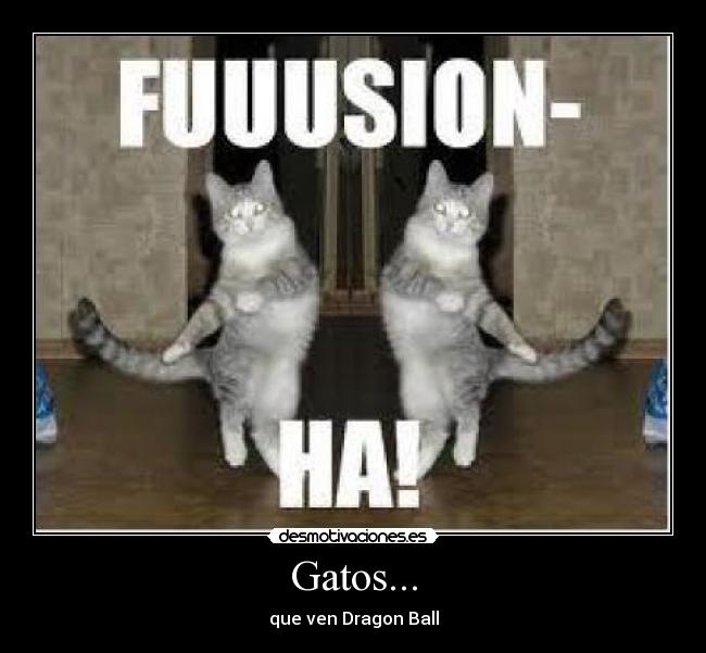 Gatos... - que ven Dragon Ball