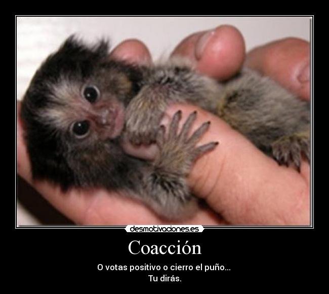 Coacción - O votas positivo o cierro el puño...
Tu dirás.