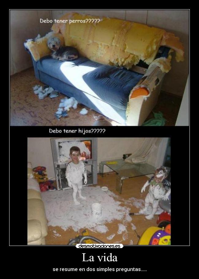 La vida - se resume en dos simples preguntas.....